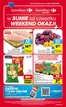 Katalog Carrefour Market | Gazetka Carrefour Market w SUMIE od czwartku WEEKEND OKAZJI | 2026-08-05T00:00:00.000Z - 2026-08-08T00:00:00.000Z