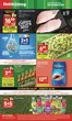 Katalog Delikatesy Centrum w: Syrynia | Ekskluzywne okazje | 2026-08-20T00:00:00.000Z - 2026-08-26T00:00:00.000Z