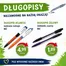 Katalog Orzech w: Warszawa | Rabaty i promocje | 2026-08-20T00:00:00.000Z - 2026-09-03T00:00:00.000Z