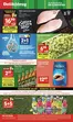 Katalog Delikatesy Centrum w: Węgrów | Delikatesy Centrum gazetka | 2026-08-20T00:00:00.000Z - 2026-08-26T00:00:00.000Z