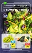 Katalog Carrefour Market w: Bogdaniec | Gazetka Carrefour Market w SUMIE weź to na świeżo | 2026-08-23T00:00:00.000Z - 2026-08-30T00:00:00.000Z