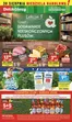 Katalog Delikatesy Centrum w: Końskie | Nasze najlepsze oferty dla Ciebie | 2026-08-27T00:00:00.000Z - 2026-09-02T00:00:00.000Z