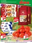 Katalog Dino w: Płońsk | Dino 36 26 www small | 2026-09-02T00:00:00.000Z - 2026-09-08T00:00:00.000Z