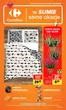 Katalog Carrefour | Gazetka Carrefour w SUMIE same okazje | 2026-09-06T00:00:00.000Z - 2026-09-19T00:00:00.000Z