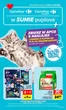 Katalog Carrefour w: Strumień | Gazetka Carrefour Market w SUMIE pupilove | 2026-09-13T00:00:00.000Z - 2026-09-26T00:00:00.000Z