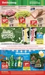 Katalog Delikatesy Centrum w: Piła | Delikatesy Centrum gazetka | 2026-09-17T00:00:00.000Z - 2026-09-23T00:00:00.000Z