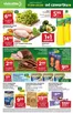 Katalog Stokrotka | Market | 2026-09-17T00:00:00.000Z - 2026-09-23T00:00:00.000Z