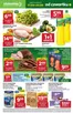 Katalog Stokrotka | Supermarket | 2026-09-17T00:00:00.000Z - 2026-09-23T00:00:00.000Z