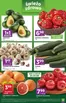Katalog Stokrotka | Express | 2026-09-17T00:00:00.000Z - 2026-09-23T00:00:00.000Z