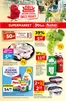 Katalog Auchan w: Reda | Gazetka 30 Lat Supermarket Auchan | 2026-09-24T00:00:00.000Z - 2026-09-30T00:00:00.000Z