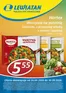Katalog Lewiatan w: Gdów | Najlepsze oferty dla oszczędnych | 2026-09-24T00:00:00.000Z - 2026-09-30T00:00:00.000Z