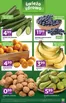 Katalog Stokrotka | Stokrotka Express | 2026-09-24T00:00:00.000Z - 2026-09-30T00:00:00.000Z