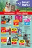 Katalog Auchan | Gazetka Świat Pupili Hipermarket Auchan | 2026-10-01T00:00:00.000Z - 2026-10-01T00:00:00.000Z