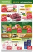 Katalog Stokrotka | Market | 2026-10-08T00:00:00.000Z - 2026-10-14T00:00:00.000Z