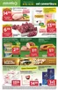 Katalog Stokrotka | Supermarket | 2026-10-08T00:00:00.000Z - 2026-10-14T00:00:00.000Z