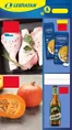 Katalog Lewiatan w: Tuszyn | Odkryj atrakcyjne oferty | 2026-10-21T00:00:00.000Z - 2026-11-04T00:00:00.000Z