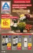 Katalog Aldi | Specjalne oferty dla Ciebie | 2026-10-26T00:00:00.000Z - 2026-10-31T00:00:00.000Z