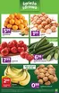 Katalog Stokrotka w: Koszalin | Express | 2026-10-29T00:00:00.000Z - 2026-11-04T00:00:00.000Z