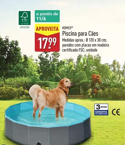 A+ - Piscina Para Caes