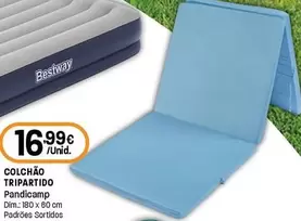 Pandicamp - Olchão Tripartido