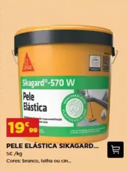 Pele Elastica