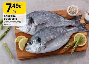 Dourada De Viviero