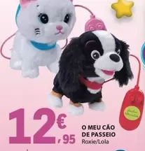 O Meu Cao De Passeio