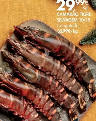 Camarão Tigre Selvagem 10/15