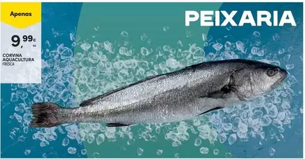 Aquacultura - Cortina Auxiliar