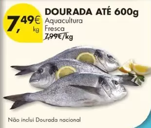 Aquacultura - Dourada Até 600g