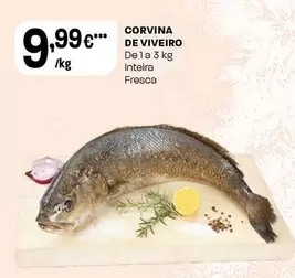 Corvina De Viveiro