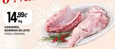 Cordeiro, Borrego De Leite