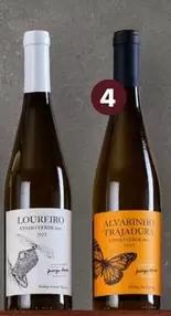 Alvarinho - Alvarinho Trajadura