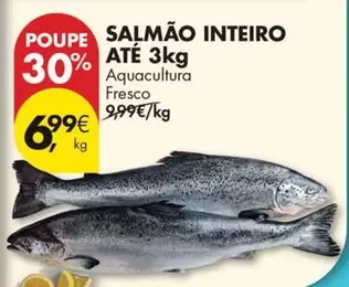 Aquacultura - Salmão Inteiro Até