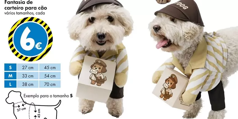 Fantasia De Carteiro Para Cão