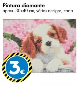 Pintura Diamante