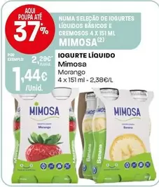 Mimosa - Iogurte Liquido