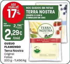 Terra Nostra - Queijo Flamengo