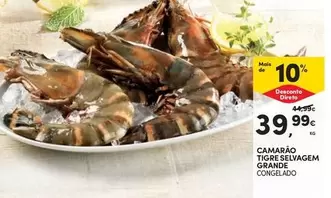 Camarão Tigre Selvagem Grande