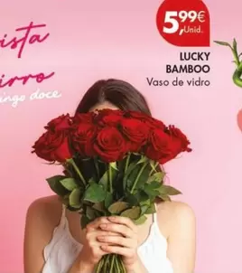 lucky - Vaso De Vidro