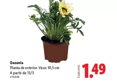 A+ - Planta De Exterior