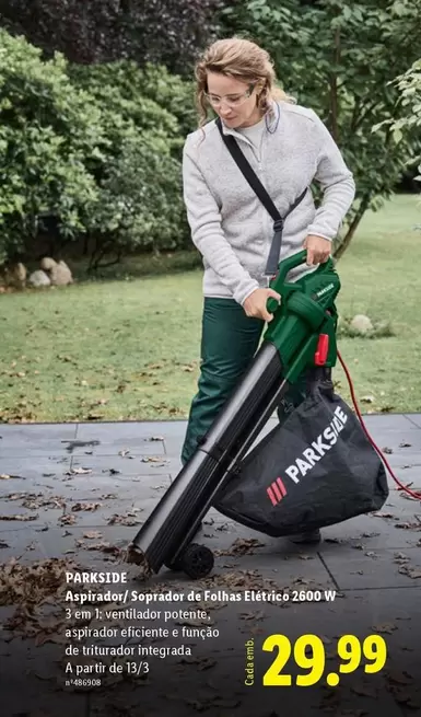 parkside - Aspirador De Palmas Eletnes 2660 W