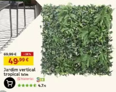 Jardim Vertical Tropical Xim