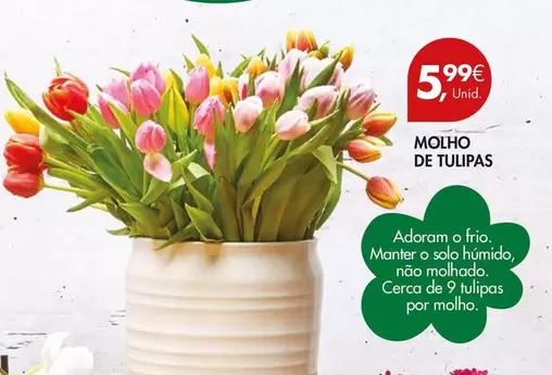 Molho De Tulipas