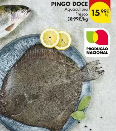 pingo doce - Aguacultura Fresco