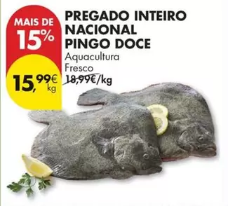pingo doce - Pregado Inteiro Nacional