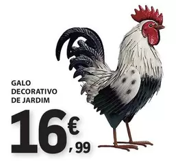 Galo Decorativo De Jardim