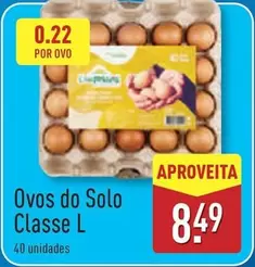 Ovos Do Solo Classe L