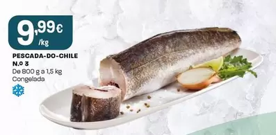 Pescada-Do-Chile N.O. 3