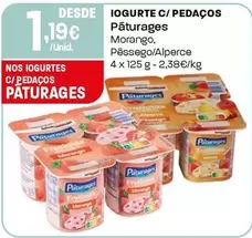 Páturages - Iogurte C/ Pedaços